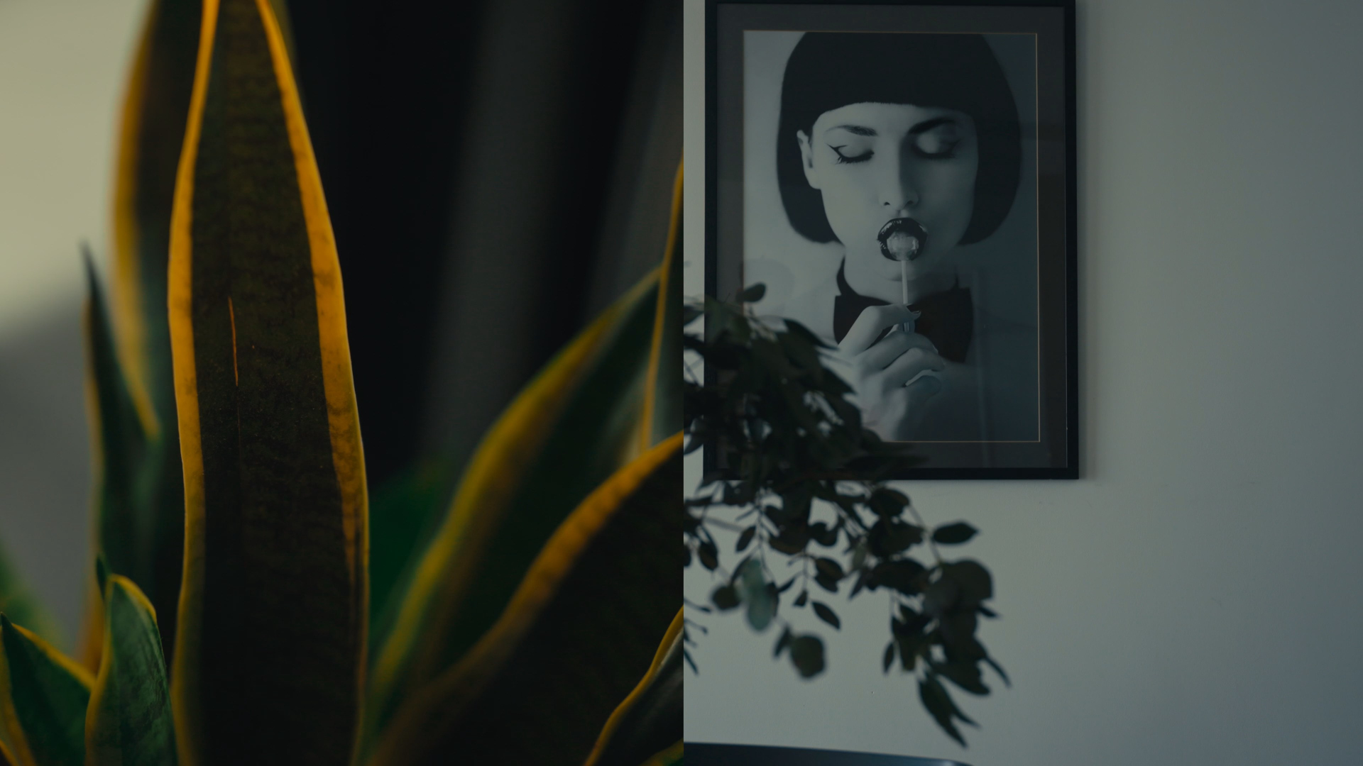 personal interior styling art plants